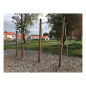 Preview: Outdoor Fitnessgerät: Reckstange, Kraft, Strecken, Gleichgewicht