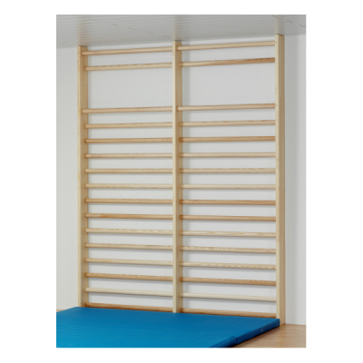 Sprossenwand Doppelfeld, 260 x 200 cm, 16 ovale Sprossen, von Sportgeräte Langer