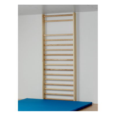 Sprossenwand mit 16 ovalen Sprossen, 260 x 100 cm, von Sportgeräte Langer