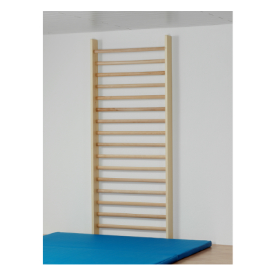 Sprossenwand mit 17 ovalen Sprossen, 280 x 100 cm, von Sportgeräte Langer