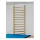 Sprossenwand mit 17 ovalen Sprossen, 280 x 100 cm, von Sportgeräte Langer